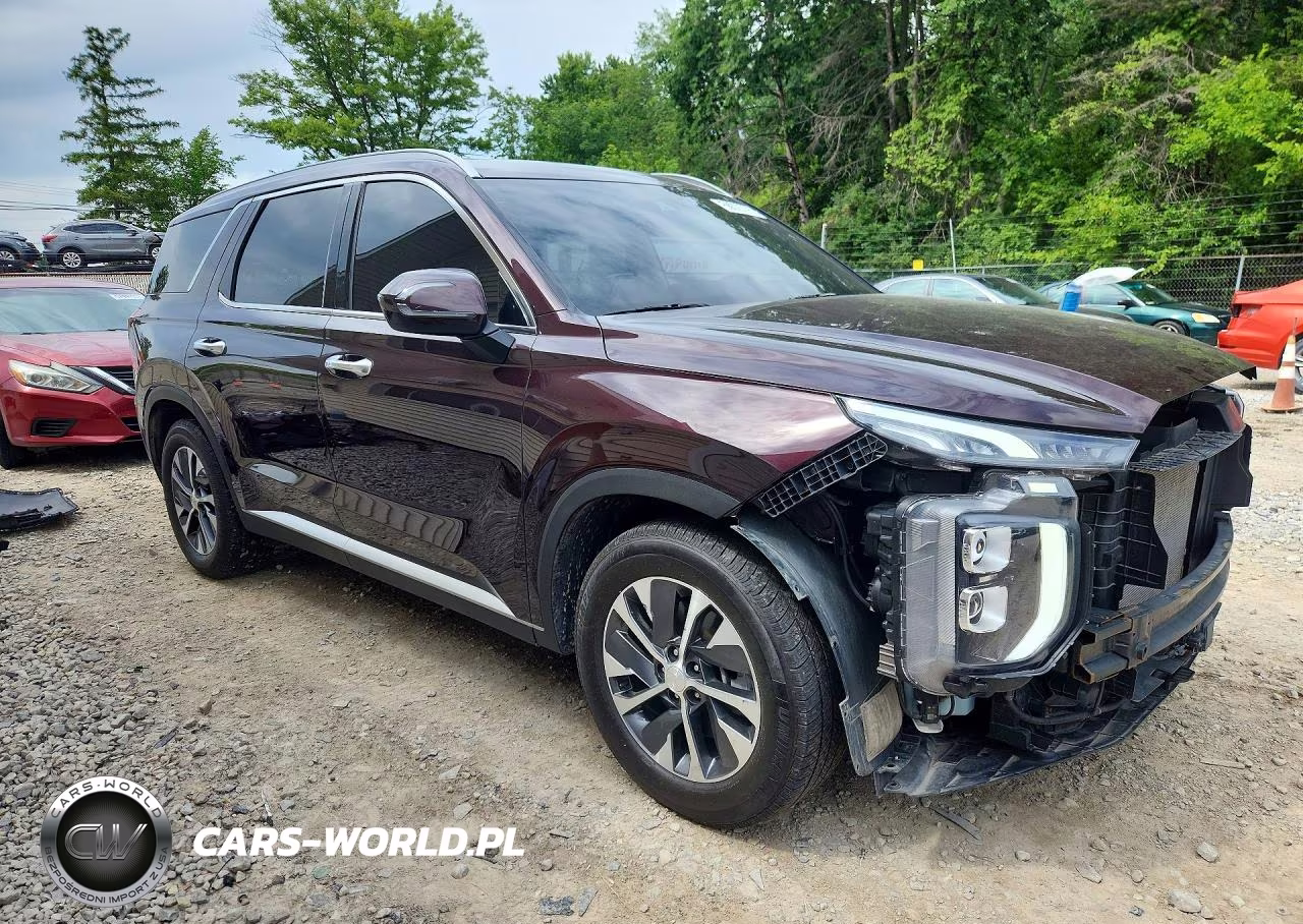 2020 Hyundai Palisade Sel VIN:KM8R2DHEXLU152286 - 4