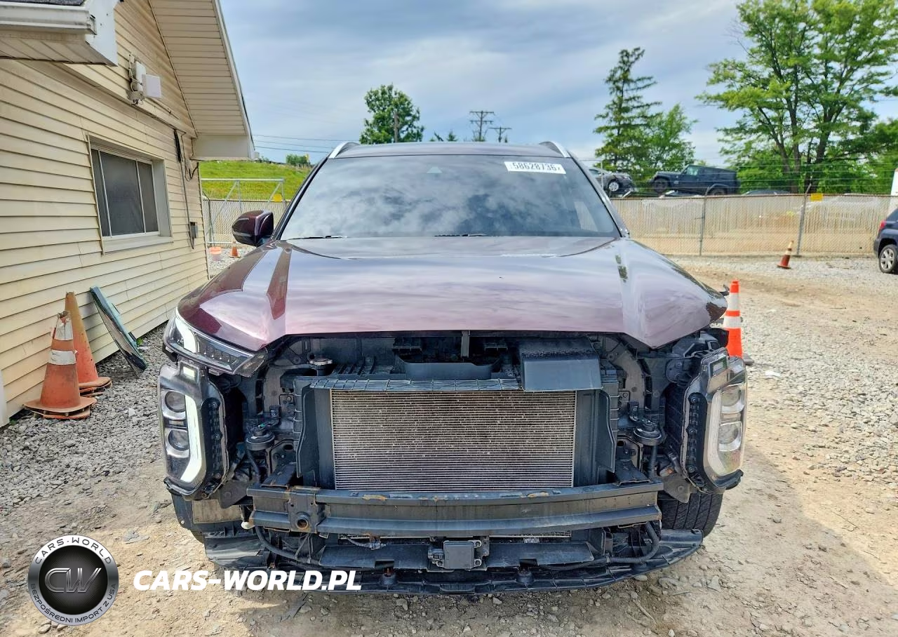 2020 Hyundai Palisade Sel VIN:KM8R2DHEXLU152286 - 5