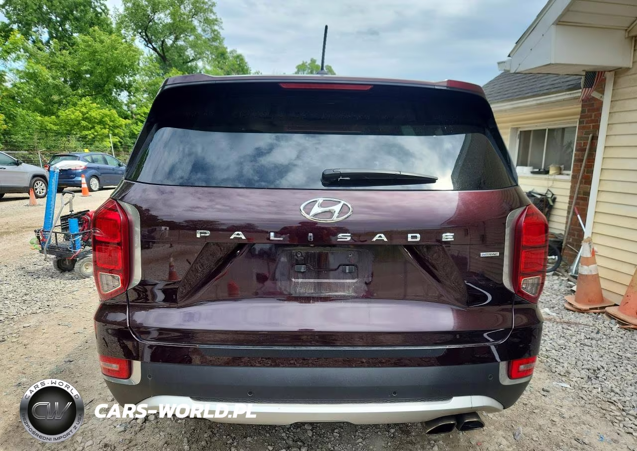 2020 Hyundai Palisade Sel VIN:KM8R2DHEXLU152286 - 6