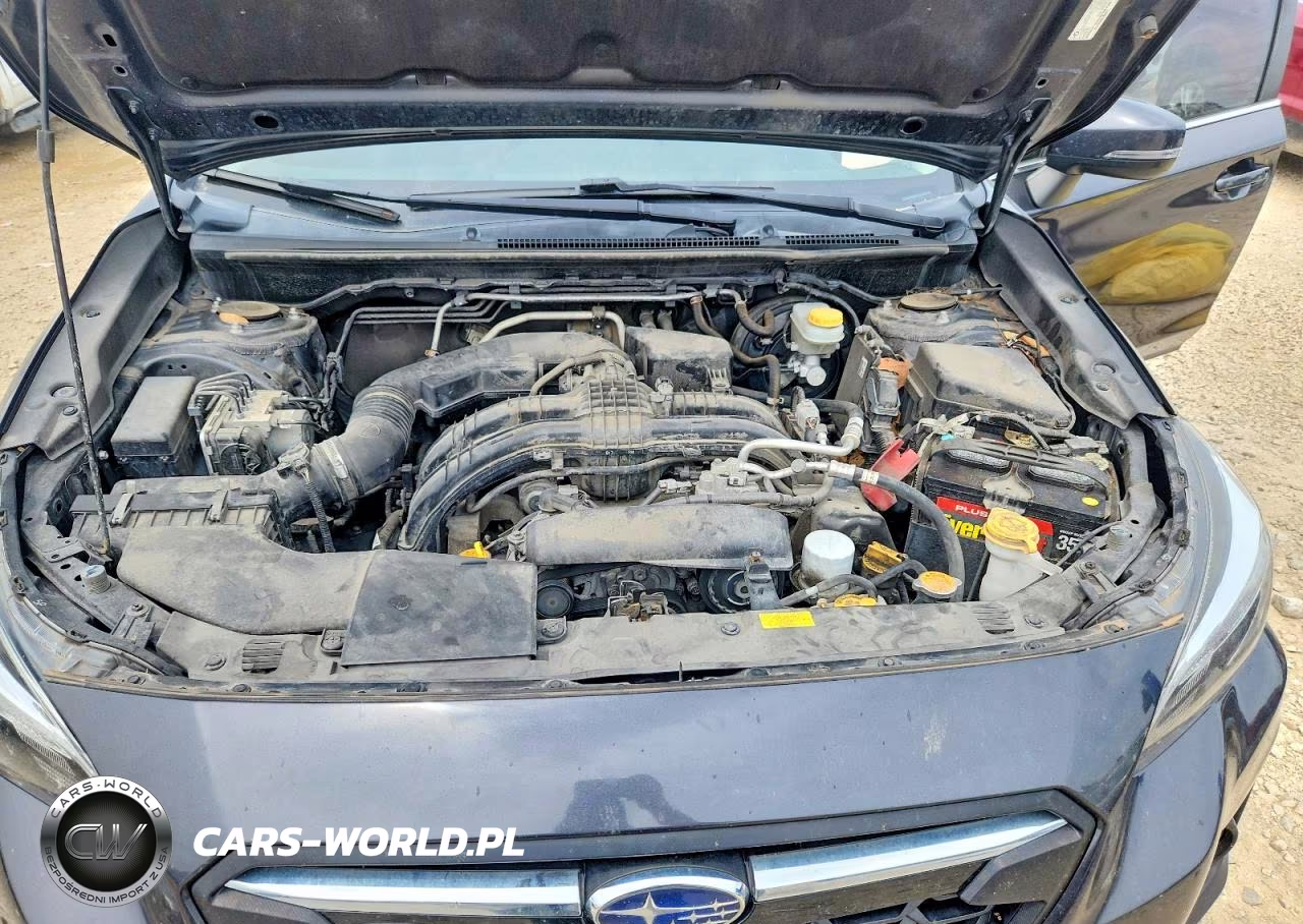 2019 Subaru Crosstrek Limited VIN:JF2GTANCXKH247157 - 11