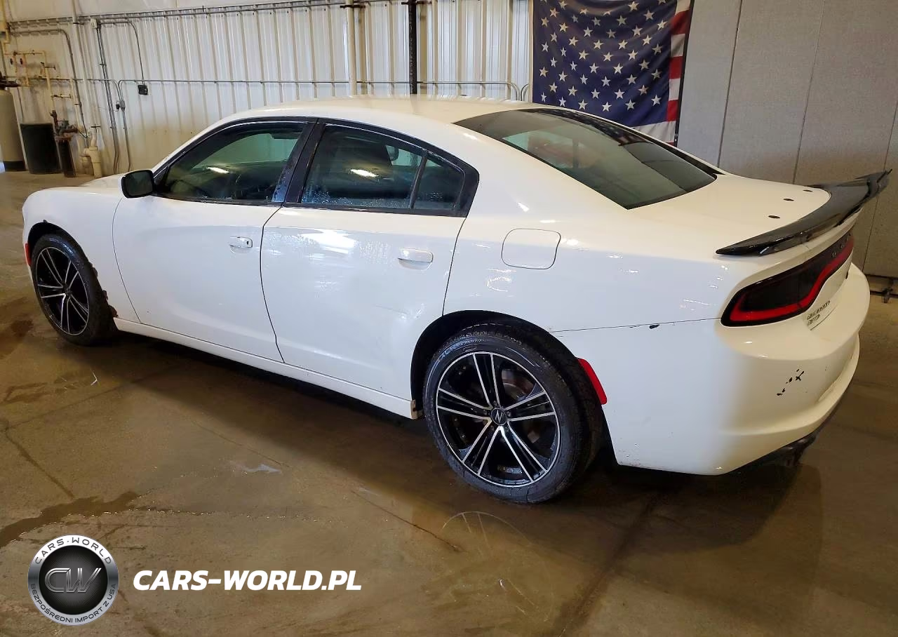 2016 Dodge Charger Police VIN:2C3CDXKT4GH219250 - 2
