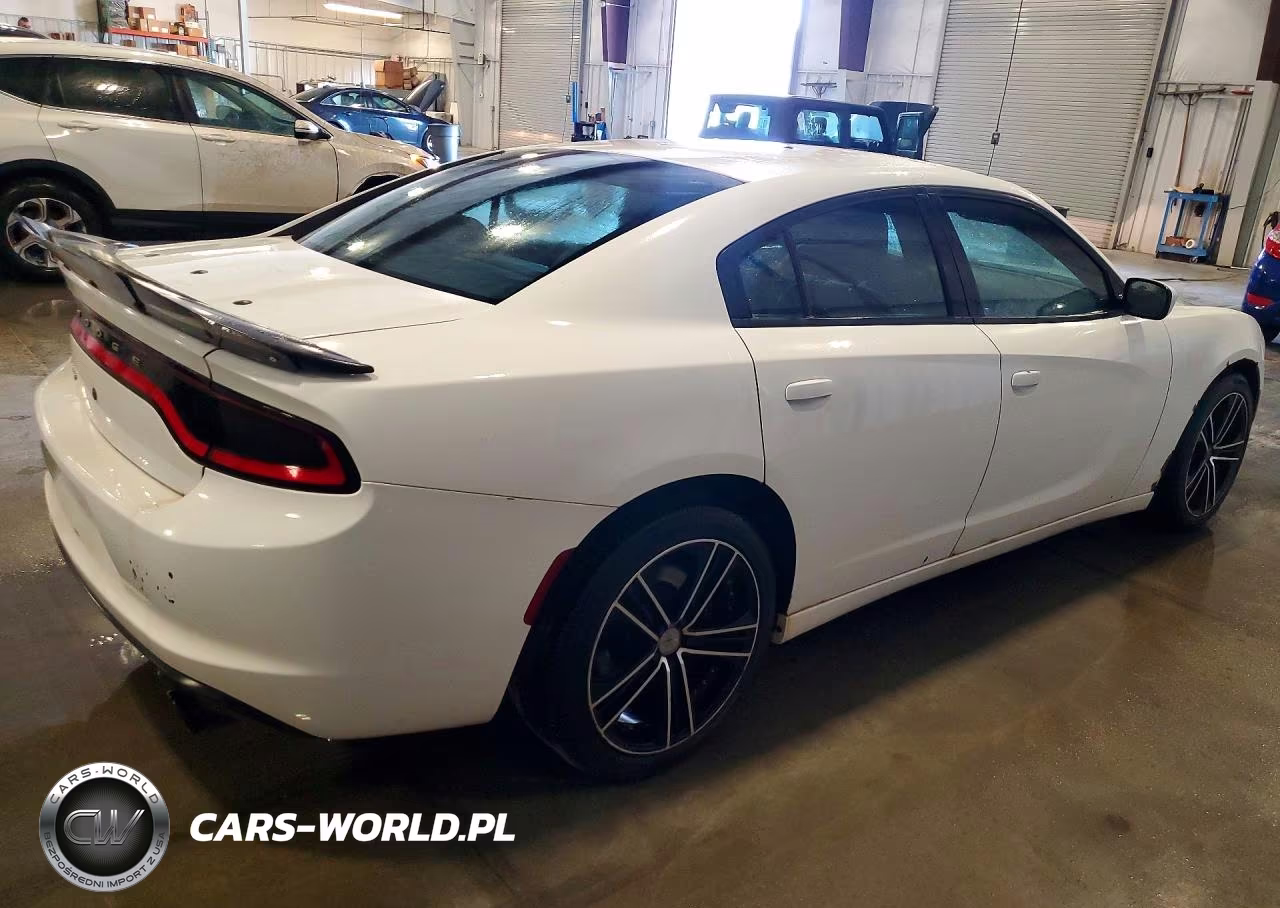 2016 Dodge Charger Police VIN:2C3CDXKT4GH219250 - 3