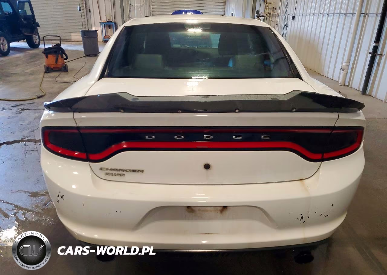 2016 Dodge Charger Police VIN:2C3CDXKT4GH219250 - 6