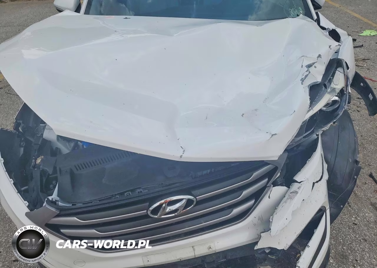 2018 Hyundai Tucson Sel Plus VIN:KM8J33A49JU738058 - 11
