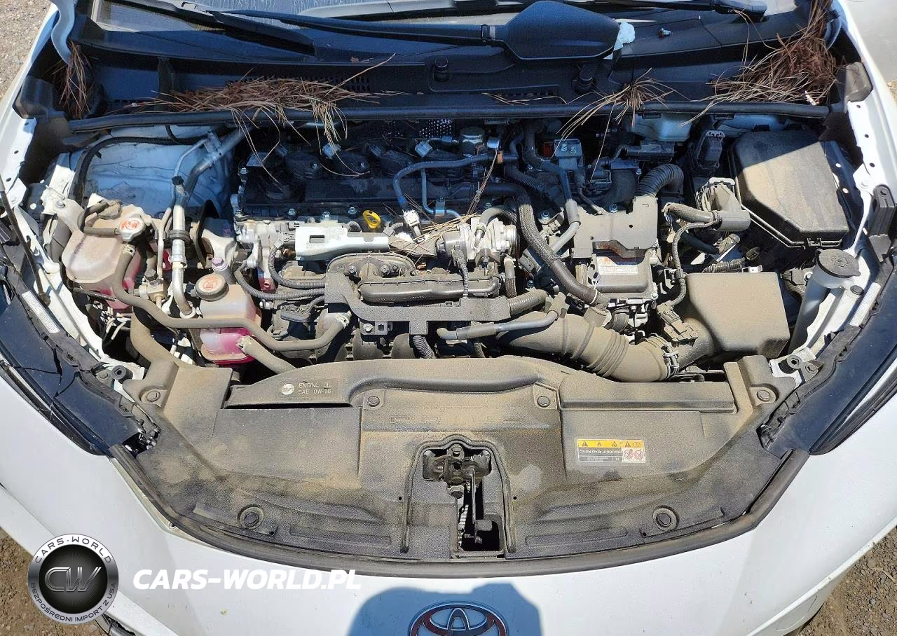 2025 Toyota Prius Xle VIN:JTDACAAU5S3053264 - 11