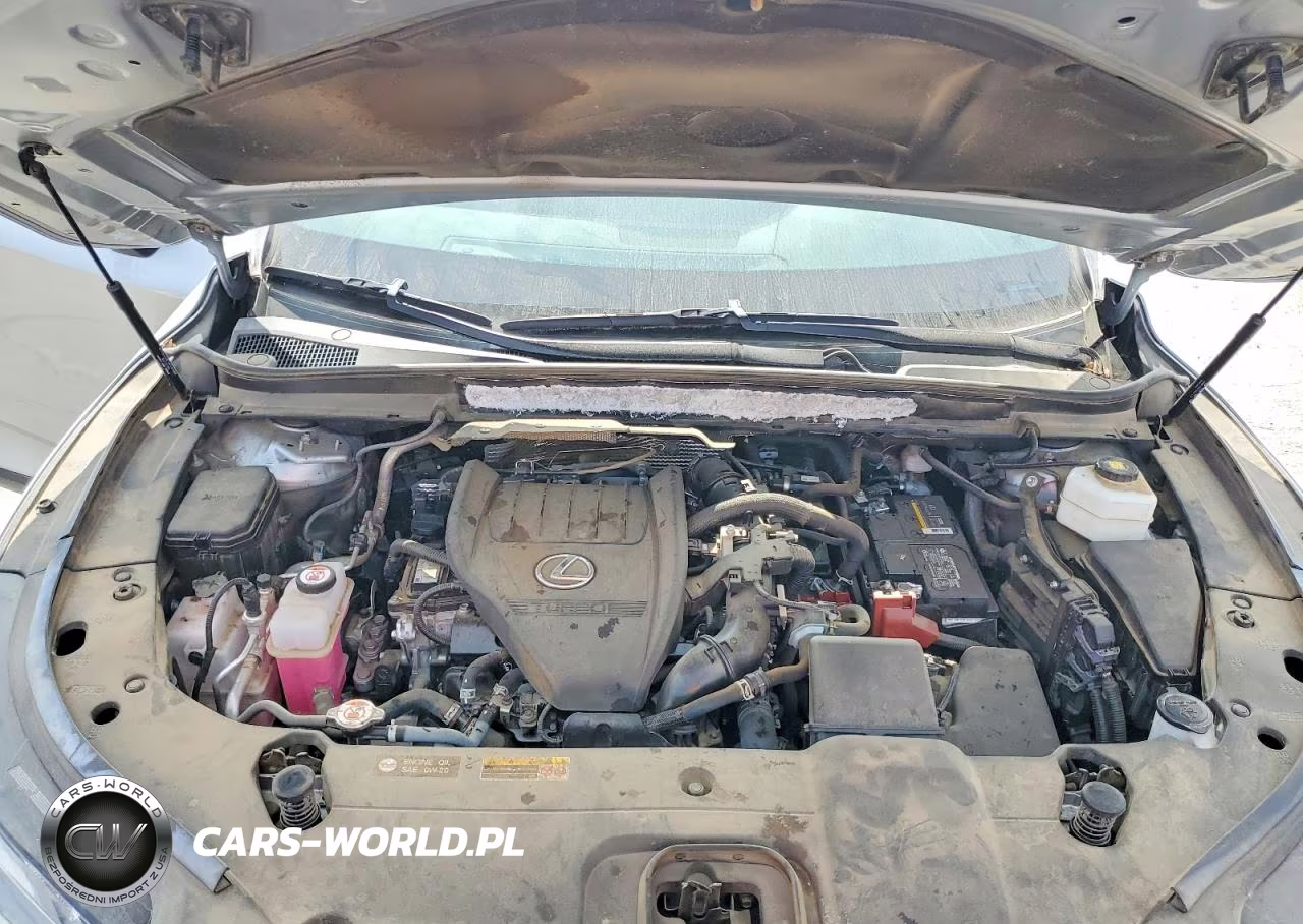 2023 Lexus Rx 350 Base VIN:2T2BAMCA7PC038404 - 12