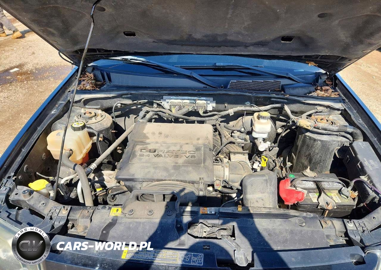 2012 Ford Escape Xlt VIN:1FMCU0DG6CKC38433 - 11