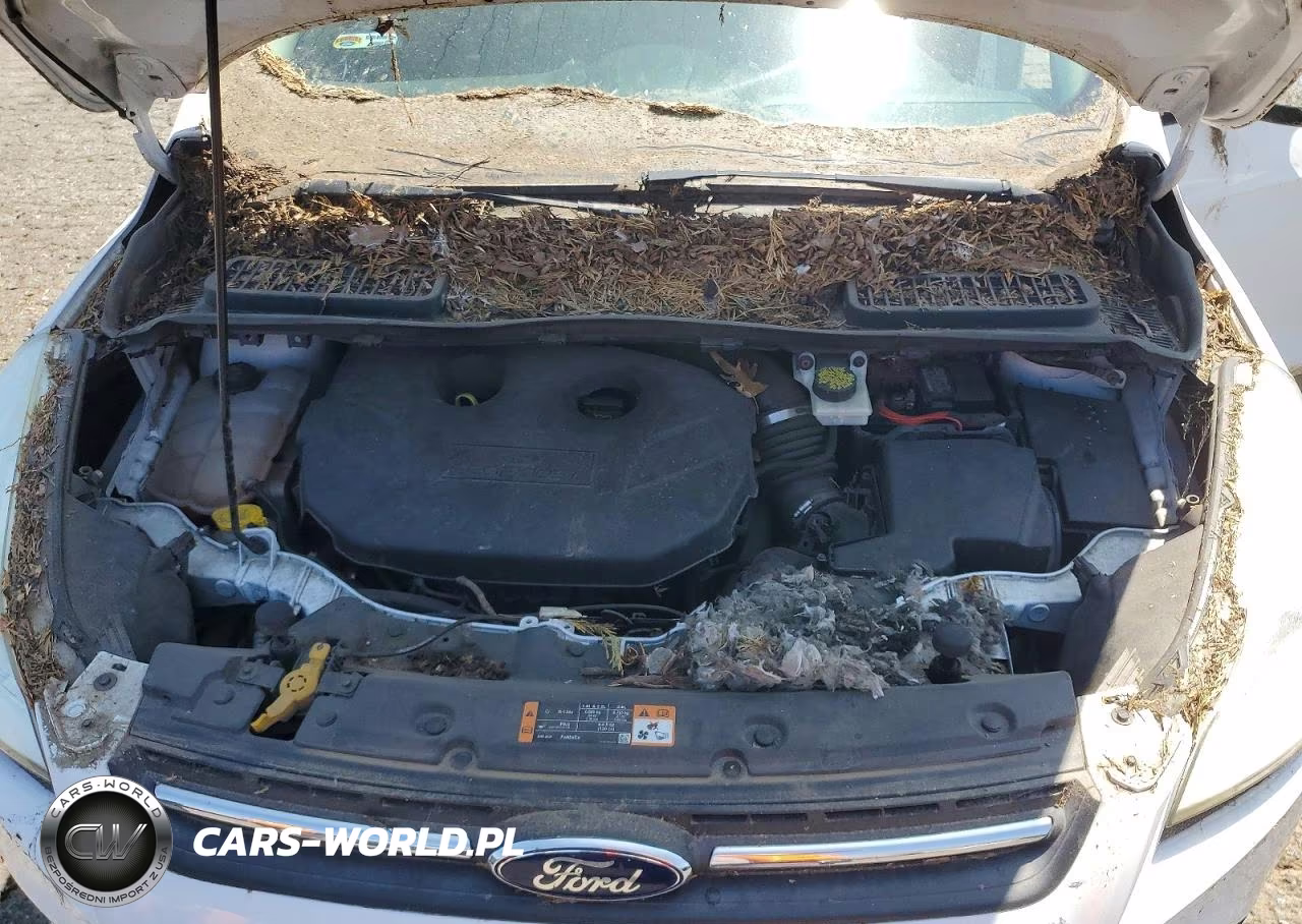 2016 Ford Escape Se VIN:1FMCU9G96GUC29369 - 12