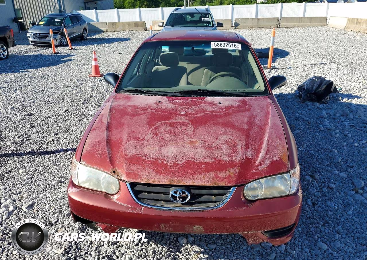 2001 Toyota Corolla Ce VIN:2T1BR12E01C432804 - 5