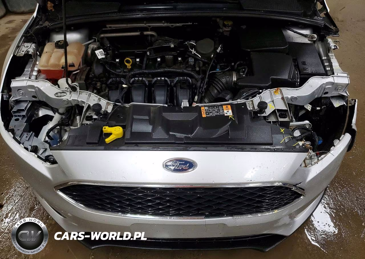 2016 Ford Focus Se VIN:1FADP3K28GL314748 - 12