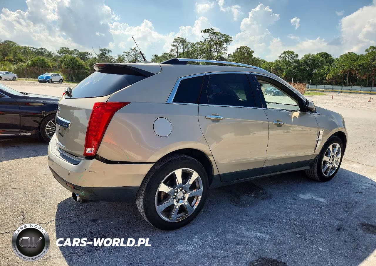 2010 Cadillac Srx Premium Collection VIN:3GYFNCEY7AS559366 - 3