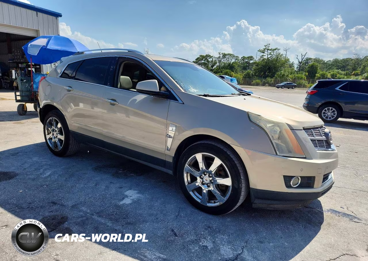 2010 Cadillac Srx Premium Collection VIN:3GYFNCEY7AS559366 - 4