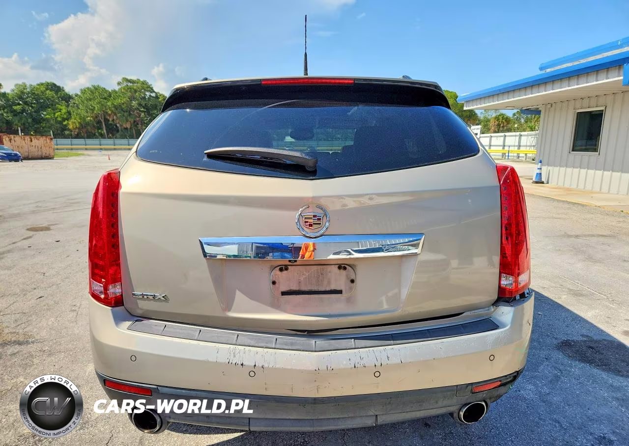 2010 Cadillac Srx Premium Collection VIN:3GYFNCEY7AS559366 - 6