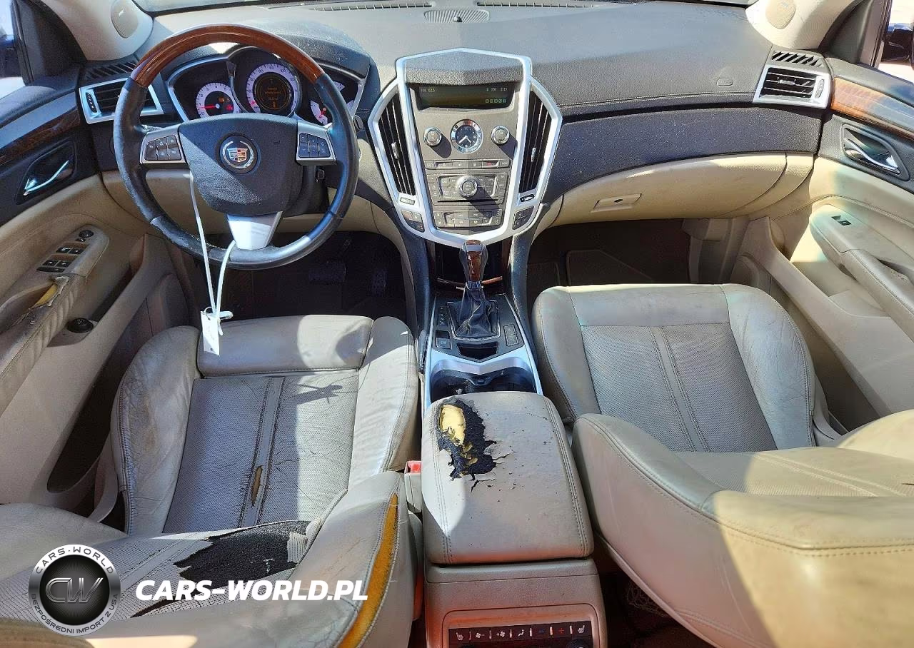 2010 Cadillac Srx Premium Collection VIN:3GYFNCEY7AS559366 - 8