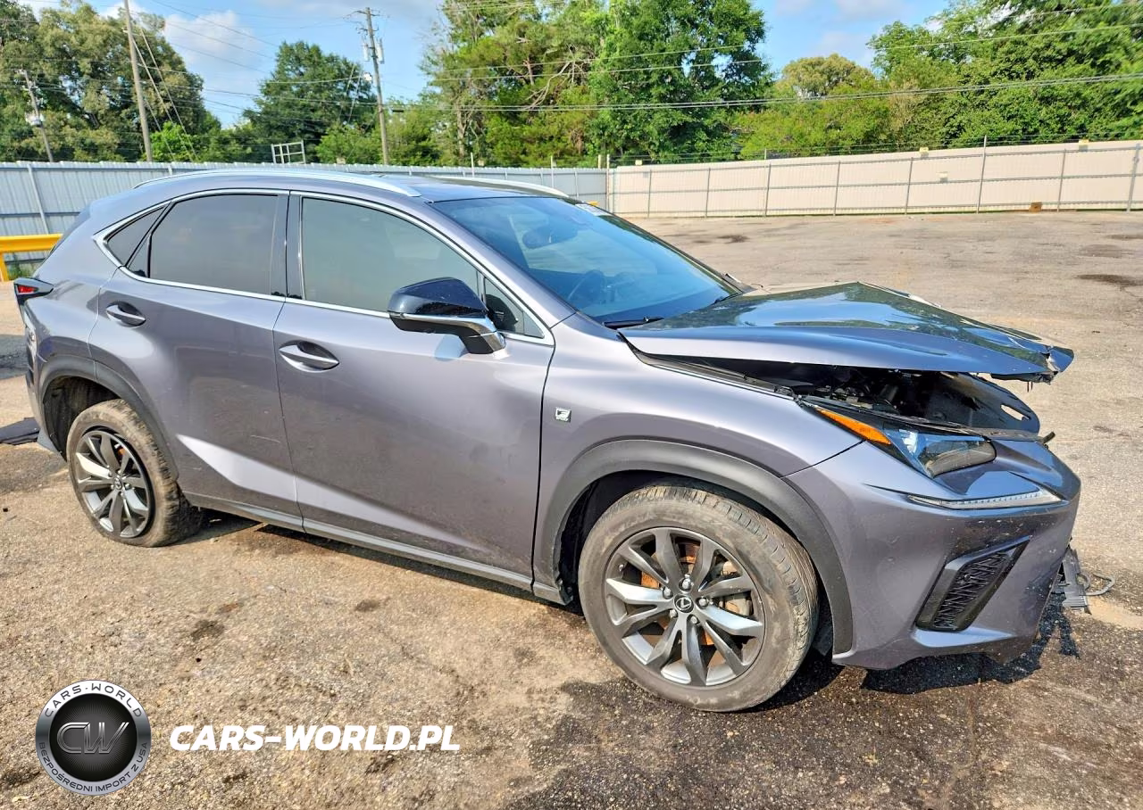 2020 Lexus Nx 300 F Sport VIN:JTJSARBZ6L2176854 - 4