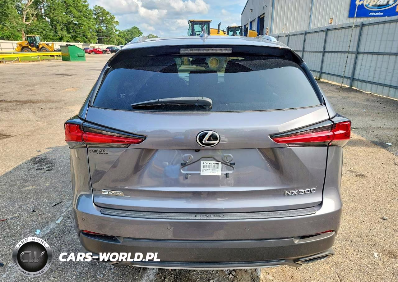 2020 Lexus Nx 300 F Sport VIN:JTJSARBZ6L2176854 - 6