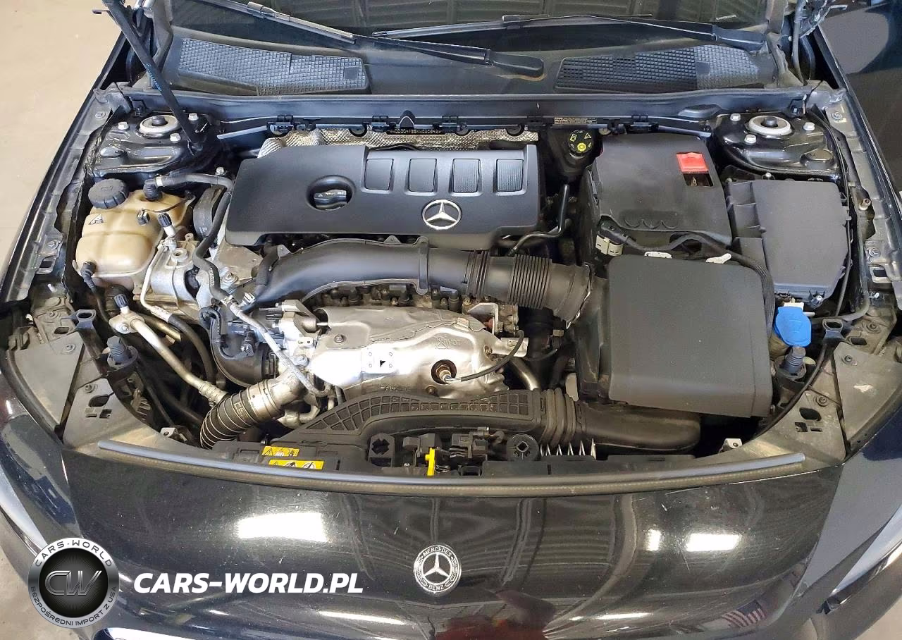2019 Mercedes-Benz A 220 4Matic VIN:WDD3G4FB5KW020842 - 11