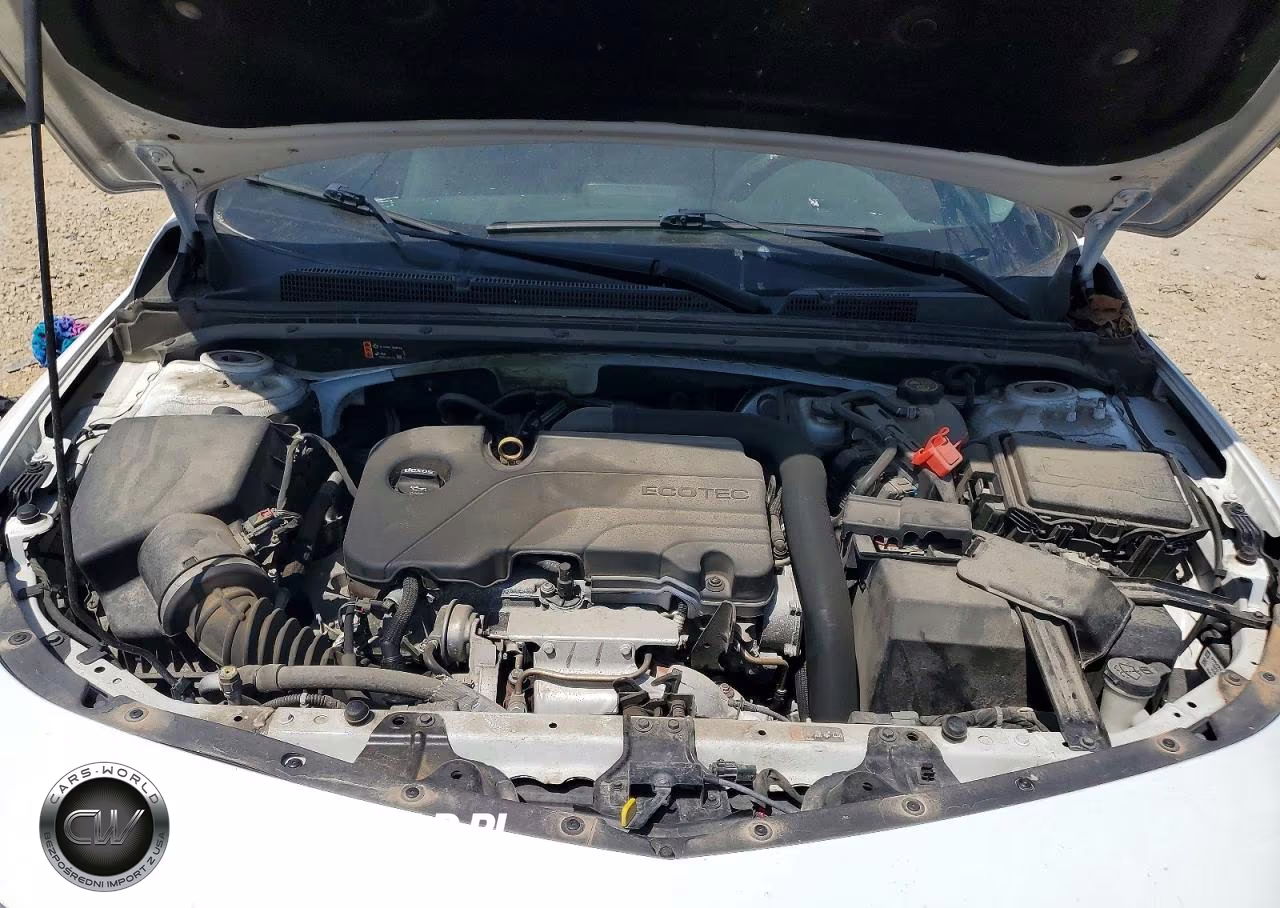 2019 Chevrolet Malibu Lt VIN:1G1ZD5ST0KF134497 - 11