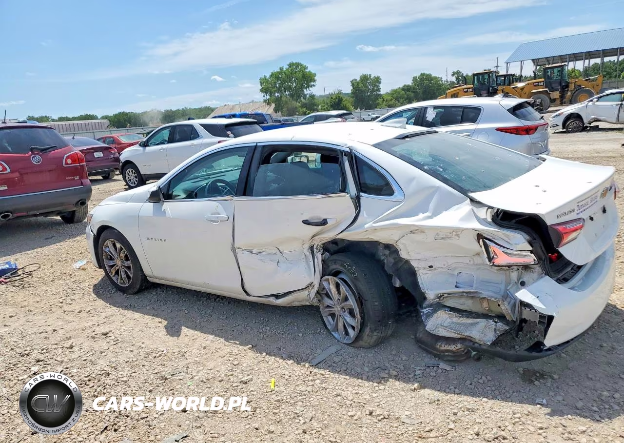 2019 Chevrolet Malibu Lt VIN:1G1ZD5ST0KF134497 - 2