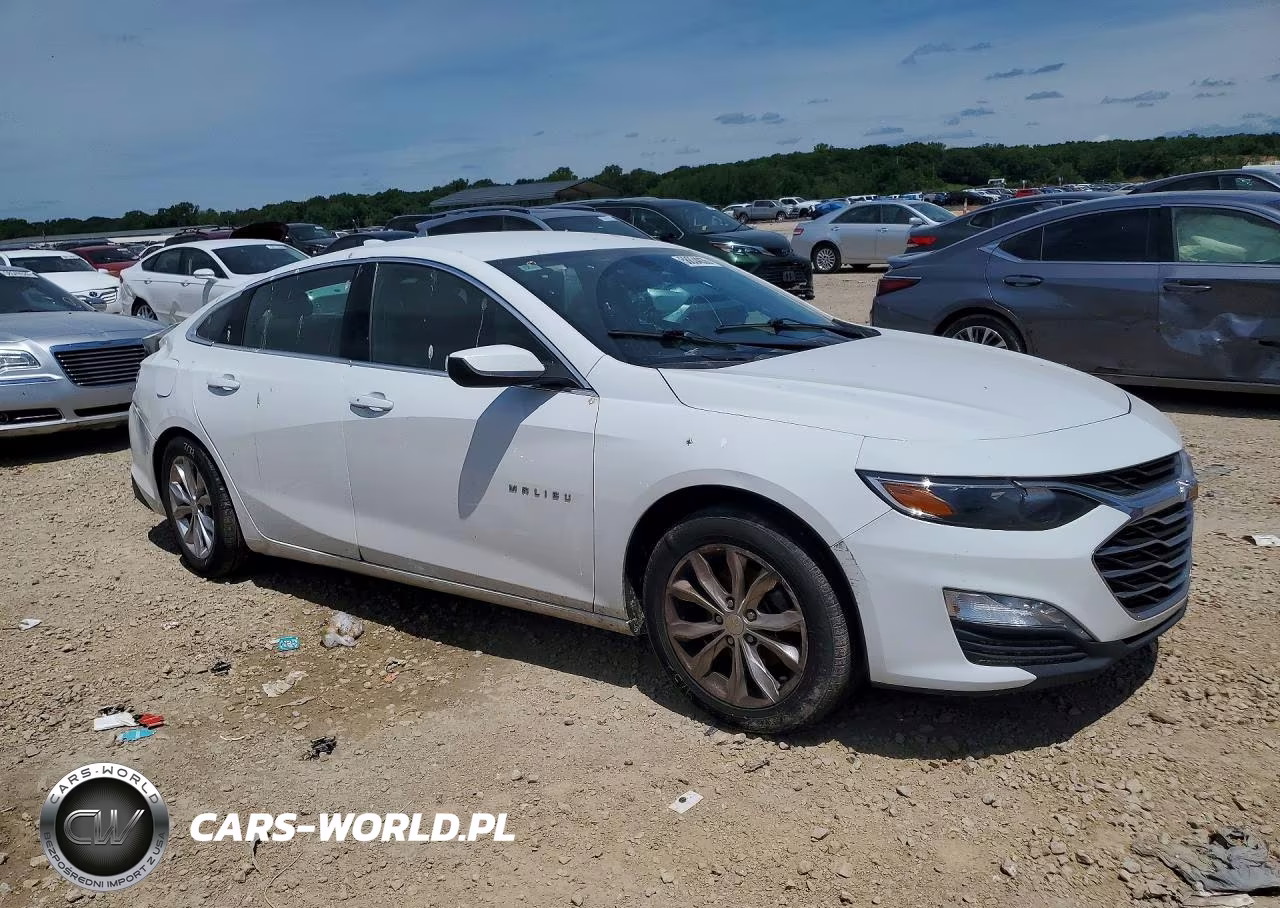 2019 Chevrolet Malibu Lt VIN:1G1ZD5ST0KF134497 - 4