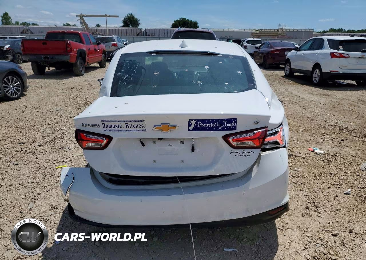 2019 Chevrolet Malibu Lt VIN:1G1ZD5ST0KF134497 - 6