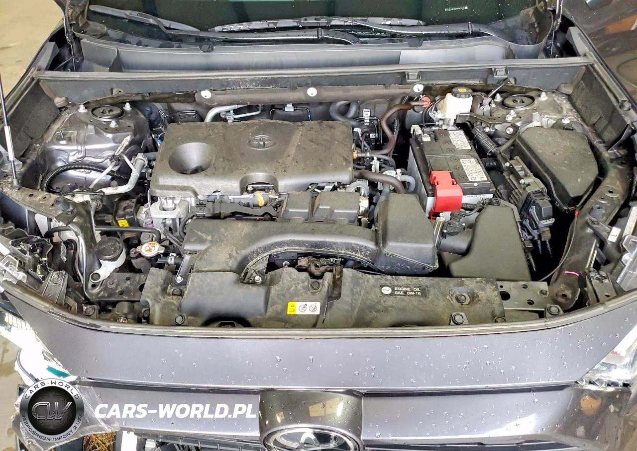 2025 Toyota Rav4 Xle VIN:2T3P1RFV3SC521443 - 12