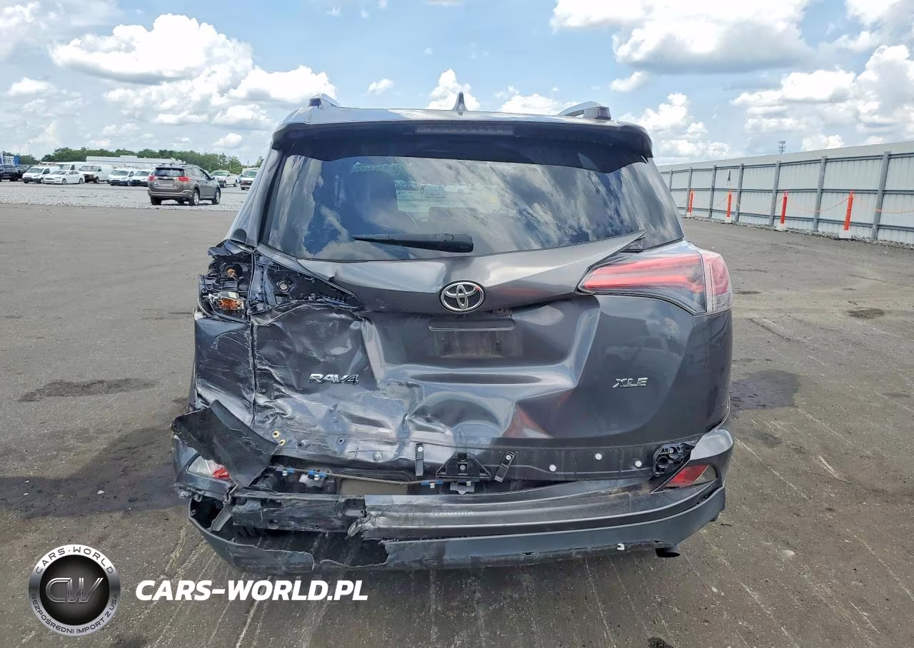 2016 Toyota Rav4 Xle VIN:JTMWFREV9GJ091405 - 6