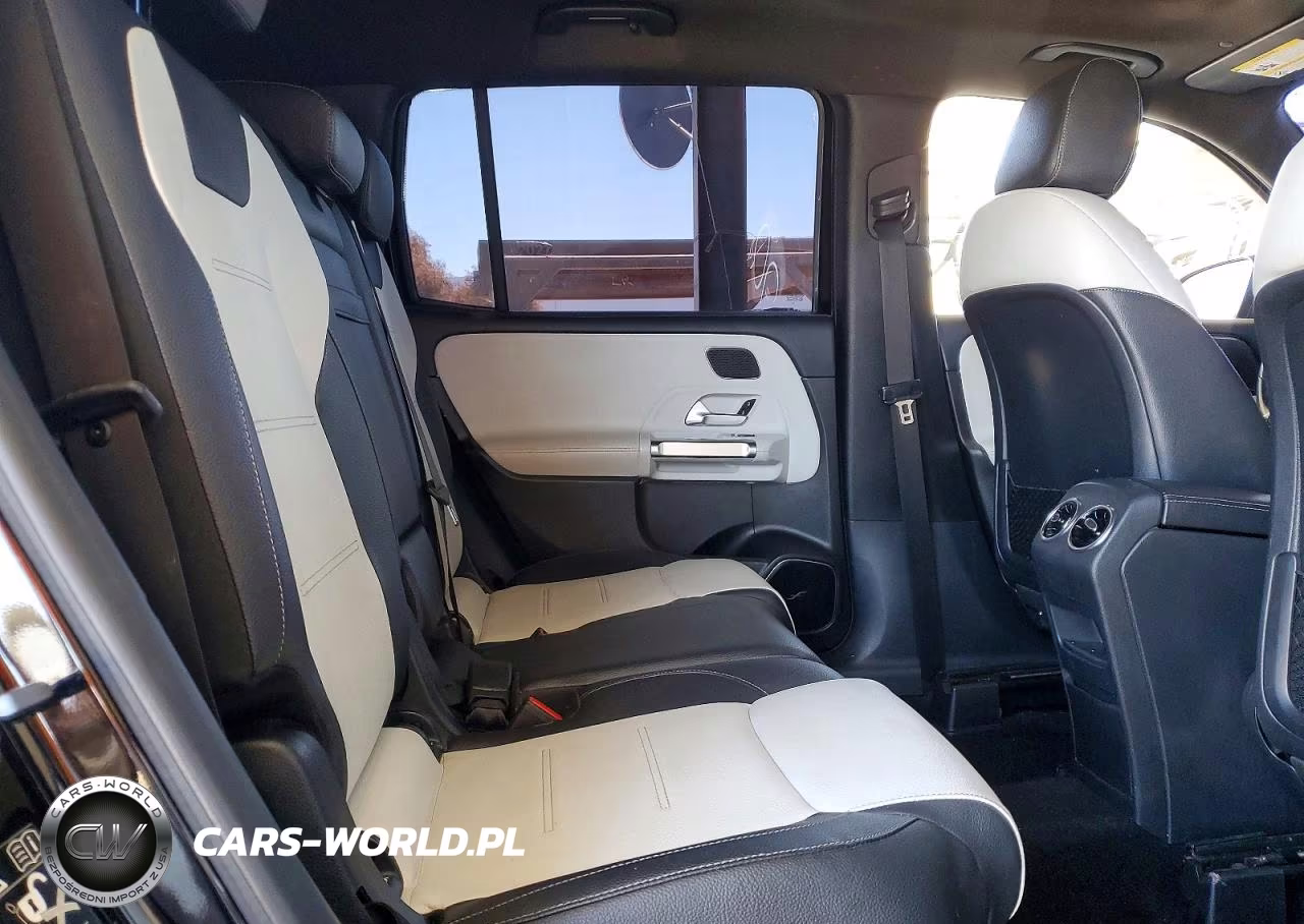 2020 Mercedes-Benz Glb 250 4Matic VIN:W1N4M4HB7LW041965 - 10