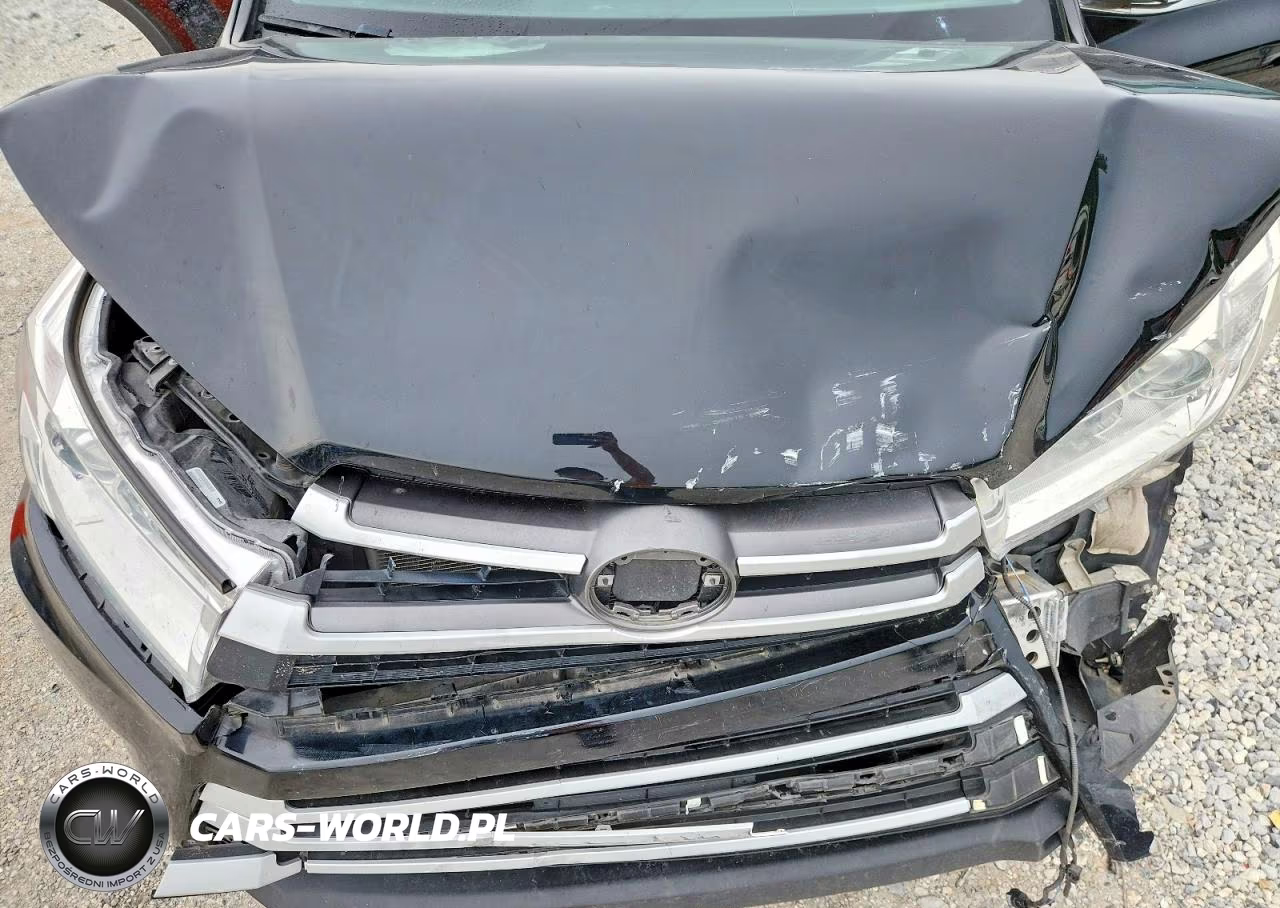 2019 Toyota Highlander VIN:5TDKZRFH5KS563318 - 12