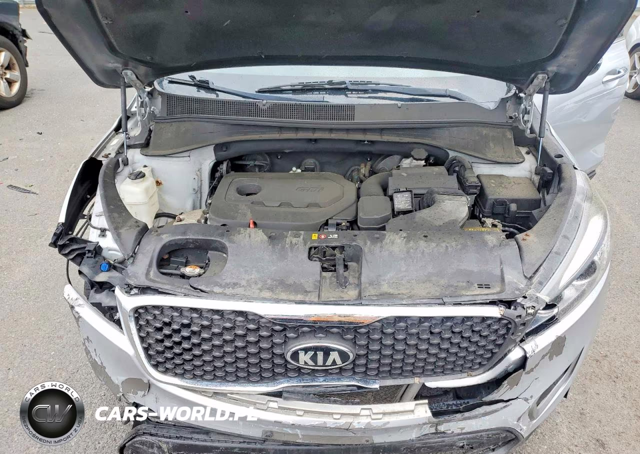 2016 Kia Sorento Lx VIN:5XYPG4A34GG171235 - 12