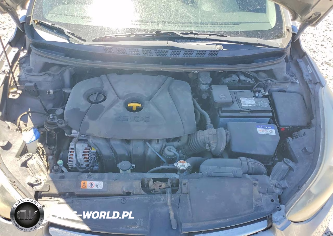 2014 Hyundai Elantra Sport VIN:KMHDH4AH0EU035381 - 11