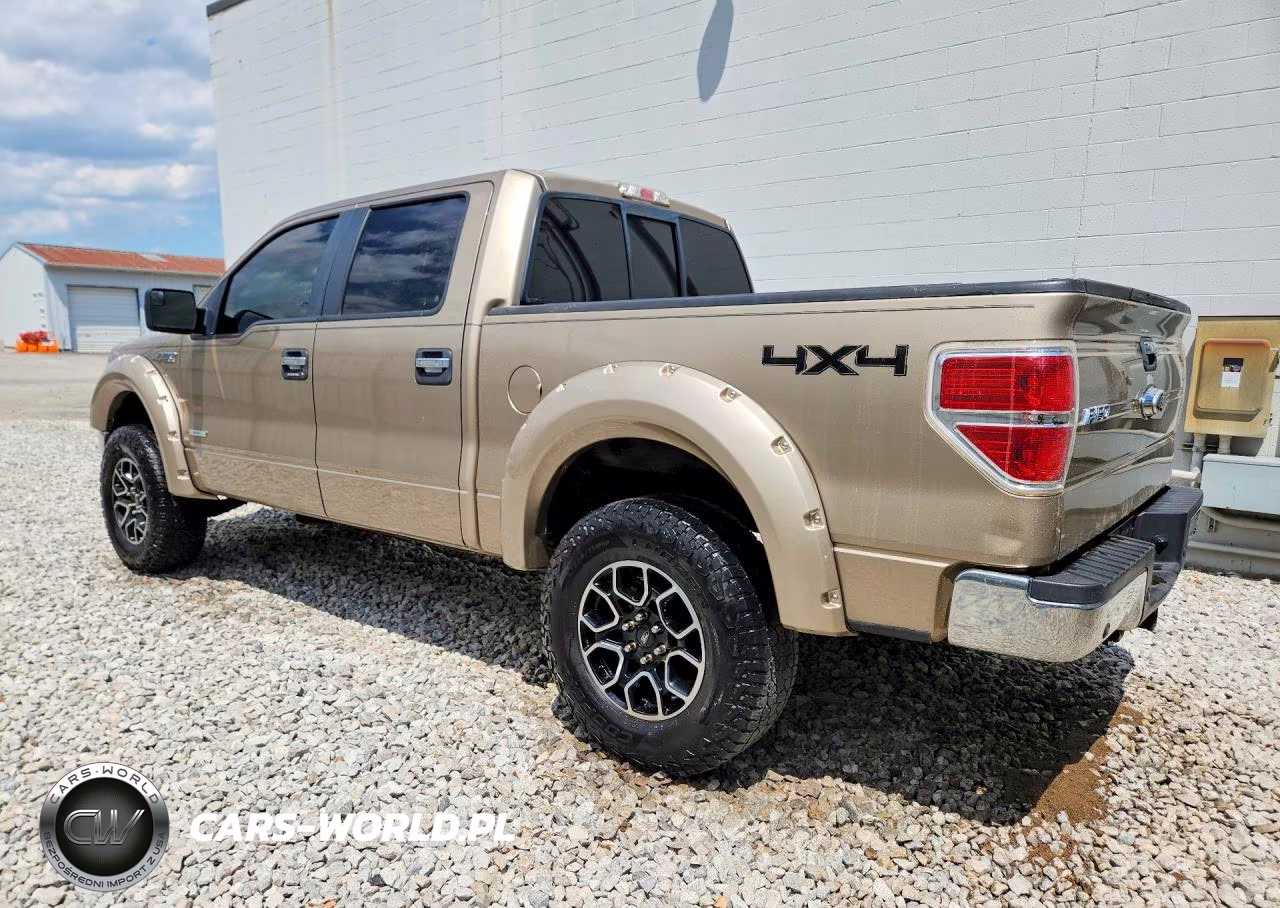 2013 Ford F150 Supercrew VIN:1FTFW1ET3DFD39498 - 2