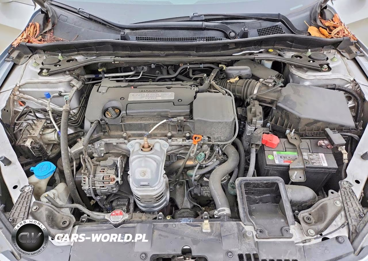 2014 Honda Accord Exl VIN:1HGCR2F87EA157085 - 11