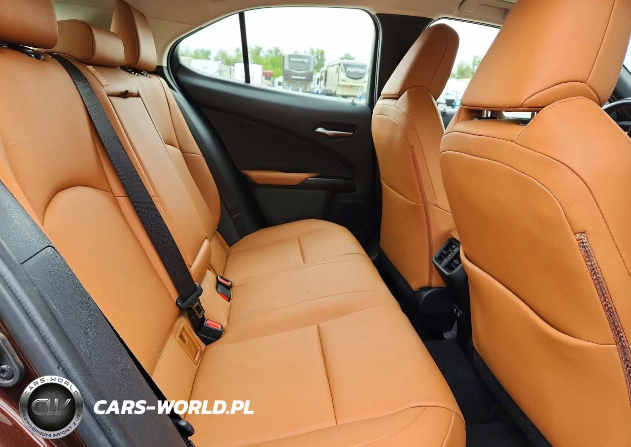 2019 Lexus Ux 250H VIN:JTHU9JBHXK2019760 - 10