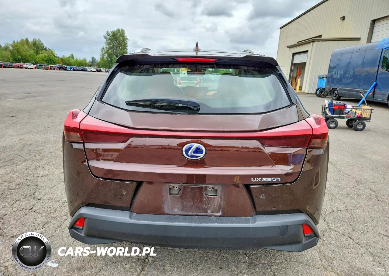 2019 Lexus Ux 250H VIN:JTHU9JBHXK2019760 - 6