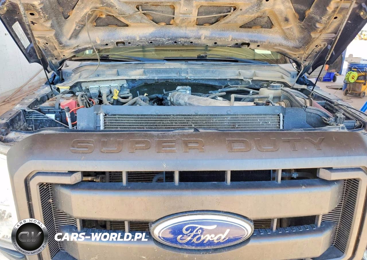 2012 Ford F250 Super Duty VIN:1FT7W2B61CEA12806 - 11