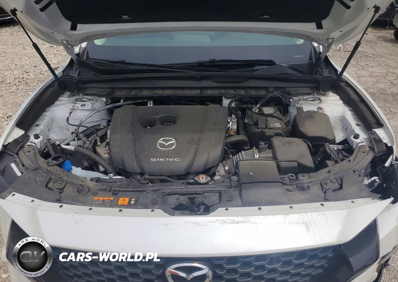 2024 Mazda Cx-50 Premium VIN:7MMVABDM9RN236268 - 11