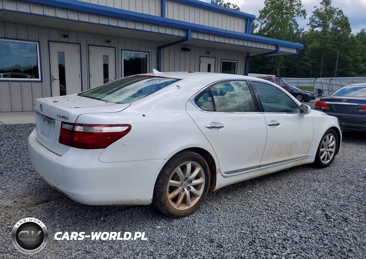 2009 Lexus Ls 460 VIN:JTHBL46F195091278 - 3