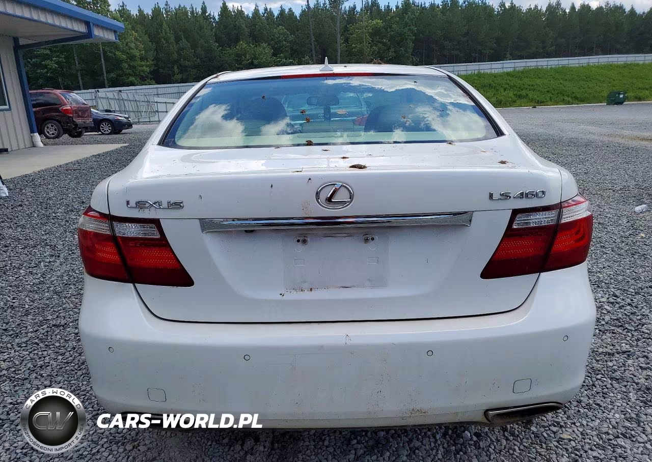 2009 Lexus Ls 460 VIN:JTHBL46F195091278 - 6