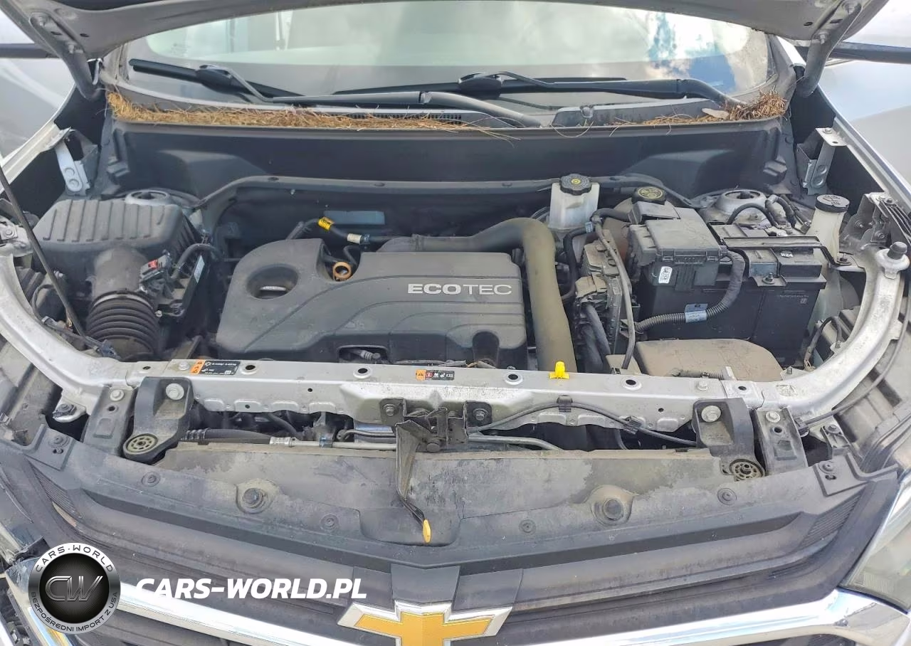 2019 Chevrolet Equinox Lt VIN:2GNAXKEV1K6252681 - 12