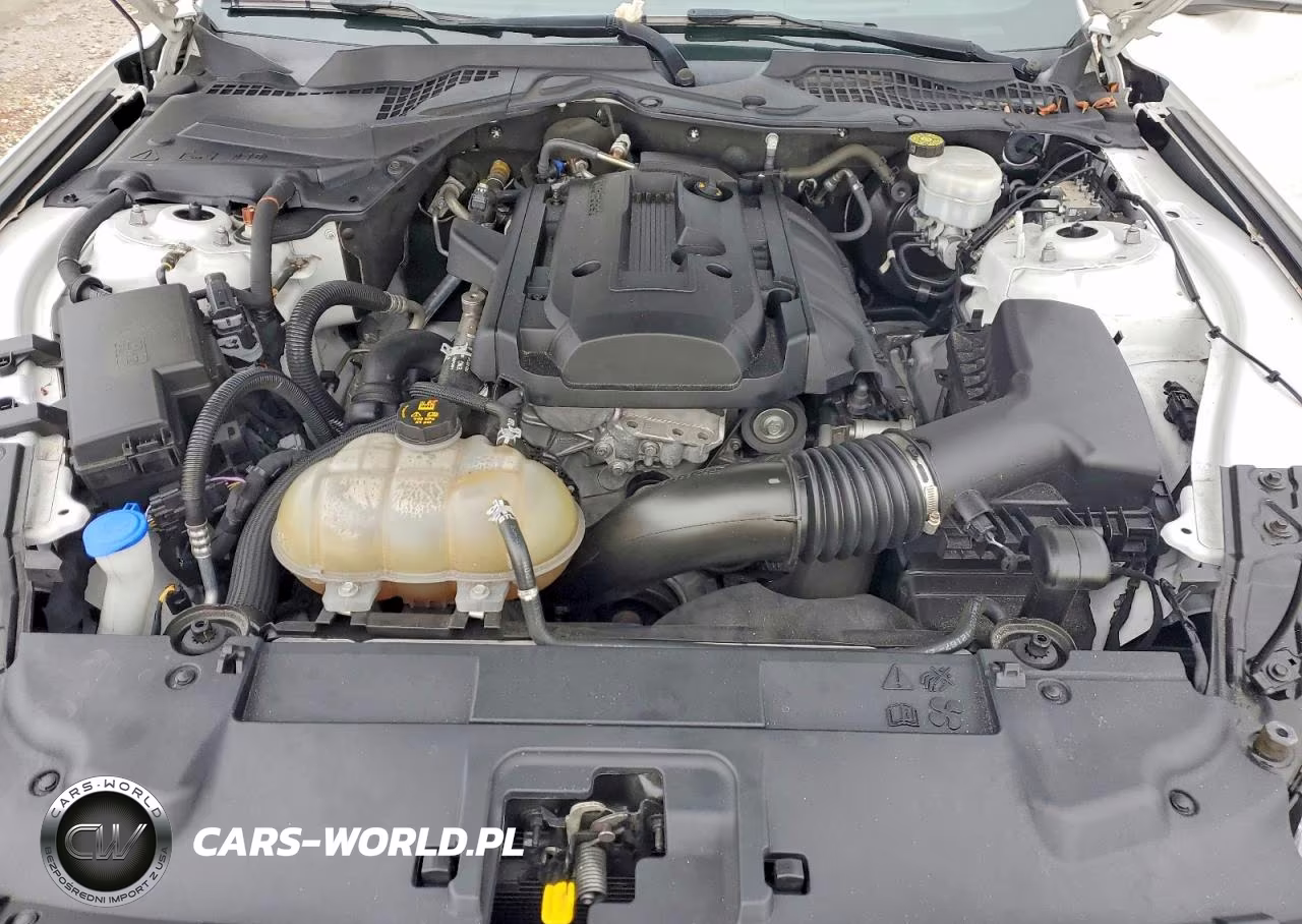 2020 Ford Mustang VIN:1FA6P8TH0L5182818 - 11