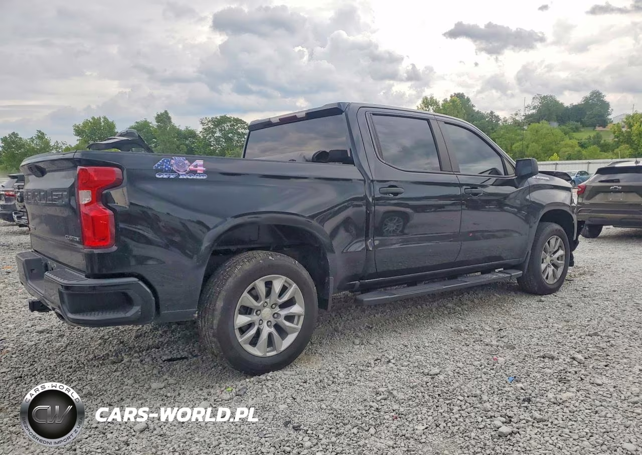 2019 Chevrolet Silverado K1500 Custom VIN:3GCUYBEF6KG113405 - 3
