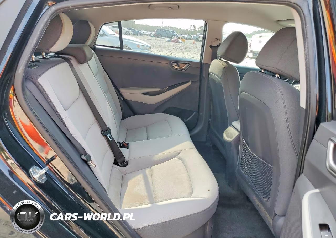 2021 Hyundai Ioniq Blue VIN:KMHC65LC6MU261481 - 10