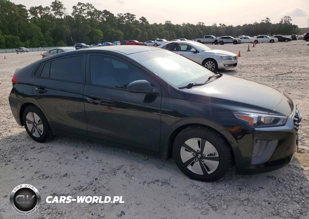 2021 Hyundai Ioniq Blue VIN:KMHC65LC6MU261481 - 4