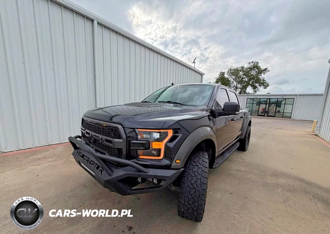 2020 Ford F150 Raptor VIN:1FTFW1RG4LFC17289 - 2