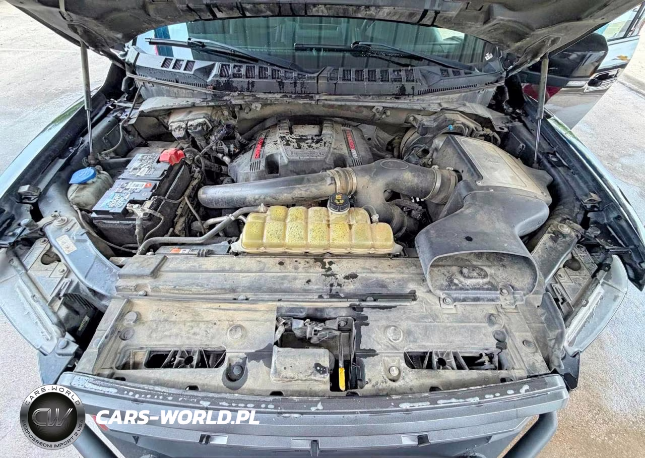 2020 Ford F150 Raptor VIN:1FTFW1RG4LFC17289 - 7