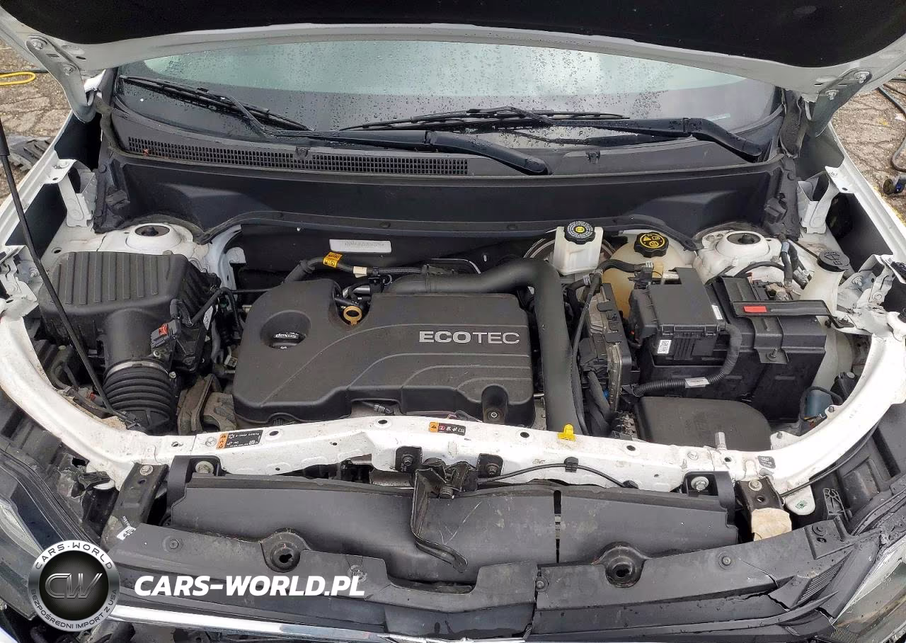 2018 CHEVROLET EQUINOX LT VIN:2GNAXJEV2J6352295 - 12