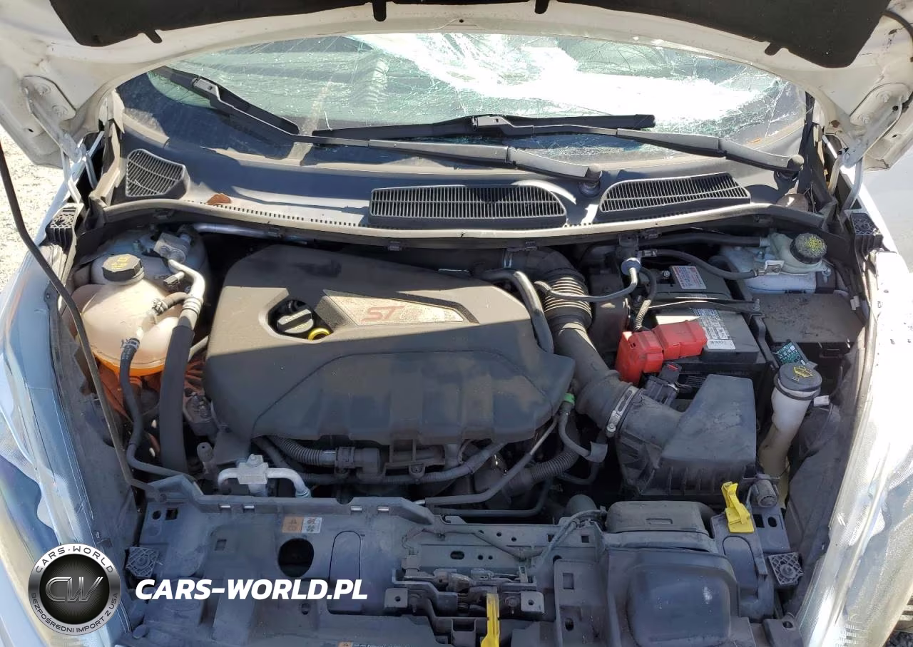 2014 Ford Fiesta St VIN:3FADP4GX7EM183348 - 11