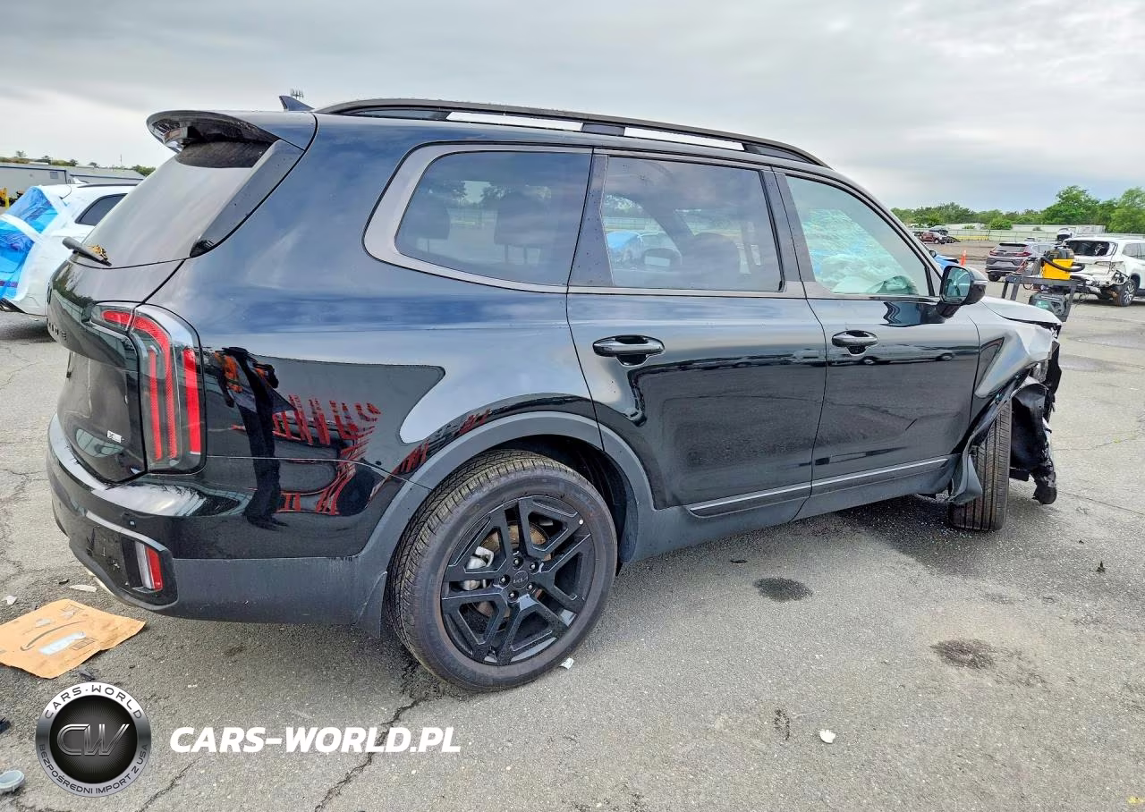 2025 Kia Telluride Sx-Prestige X-Line VIN:5XYP5DGC7SG698434 - 3