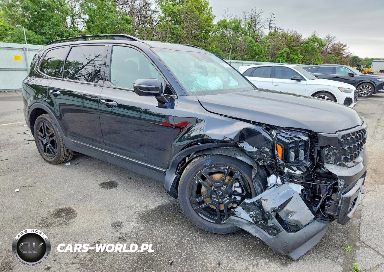 2025 Kia Telluride Sx-Prestige X-Line VIN:5XYP5DGC7SG698434 - 4